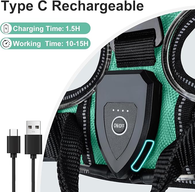 Taglory Light Up Dog Harness, Rechargeable No Pull Dog Vest with 3 Lightning Modes, Reflective Dog Harness with 2 Leash Clips & 4 Adjustable Slide Strips for Large Dogs, Turquoise-Green, XL