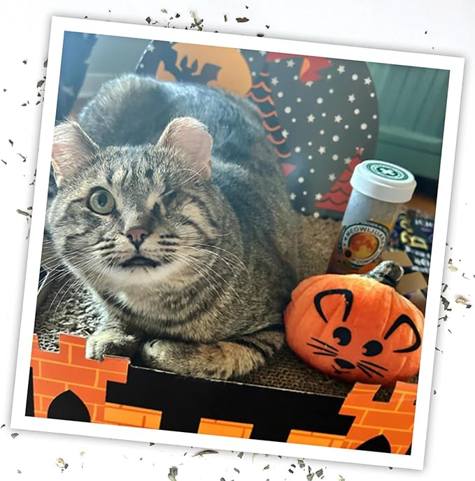 Meowijuana Refillable Cat Toys | Get Spooked Bundle - Scarecrow, Pumpkin, Pumpkin Spice Latte Catnip Toys | Includes Potent Hand Harvested Catnip Grown in North America | Promotes Play