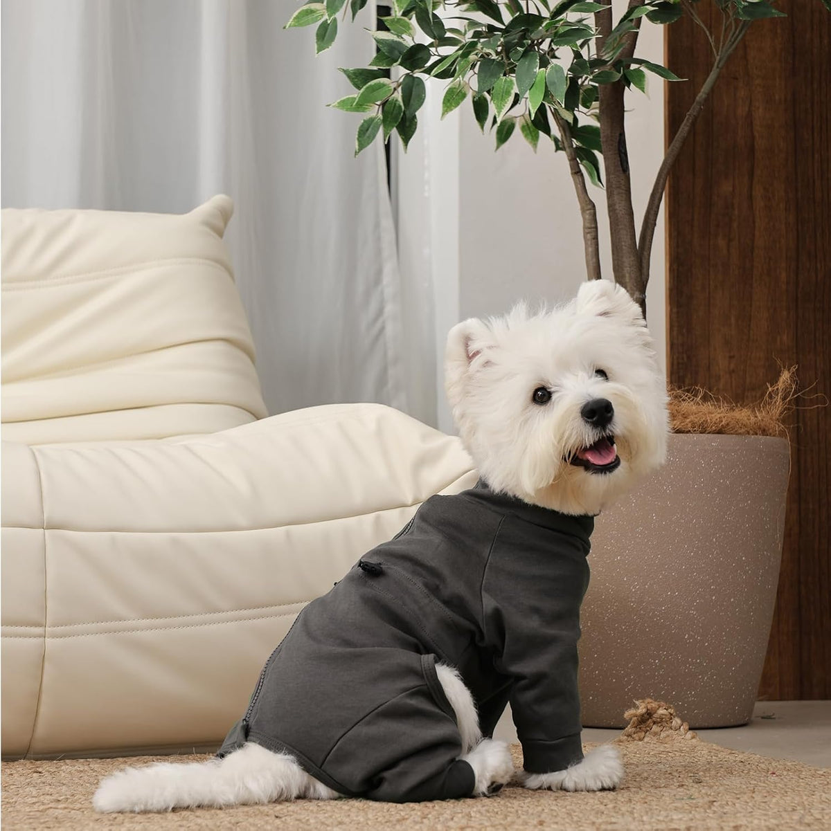 Dog Pajamas with Zipper Back, Adjustable Long Sleeve Pjs for Small Dogs, Anti-Licking Recovery Suit for Dogs After Surgery, Comfy Pet Onesie Outfit for Cocker Spaniel, French Bulldog, Grey M