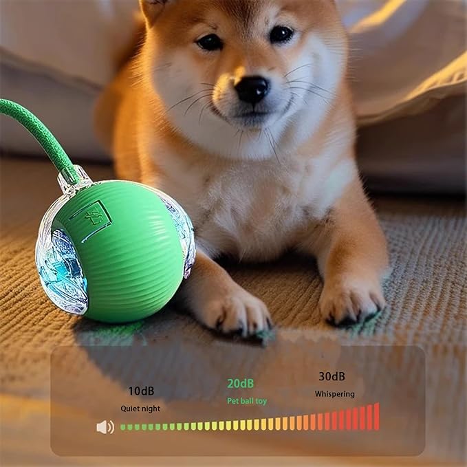 Interactive Cat Toy Ball for Indoor Cats - 3-Speed Smart Rolling Ball with Flashing Lights, USB Rechargeable Automatic Motion Kitten Toys for Bored Adult Cats & Playful Kittens