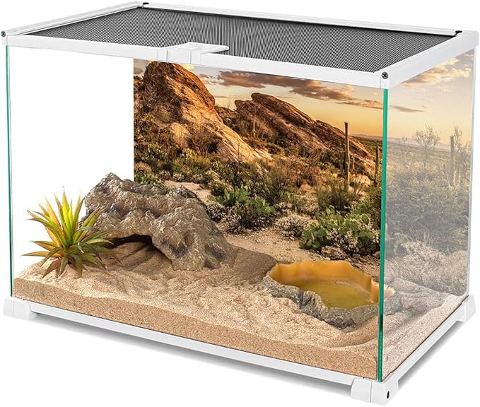 AWERT Reptile Habitat Background Blue Sky Oasis Cactus Sun and Desert Terrarium Background 72x24 inches Durable Polyester Background