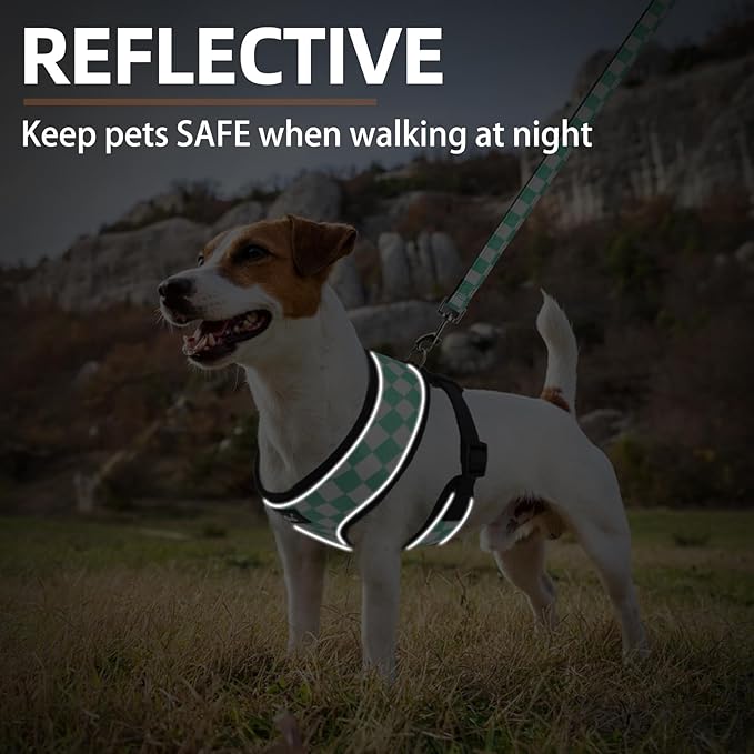 PUPTECK Soft Mesh Dog Harness and Leash Set Pet Puppy Cat Comfort Padded Vest No Pull Harnesses, Checkered Green&White, M