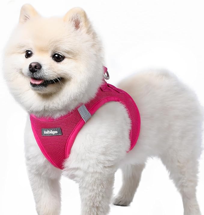 rabbitgoo Small Dog Harness, Step-in Soft Mesh Puppy Vest with Safety Buckle, Breathable Reflective Pet Harness for Small Sized Dogs, Rose Red S