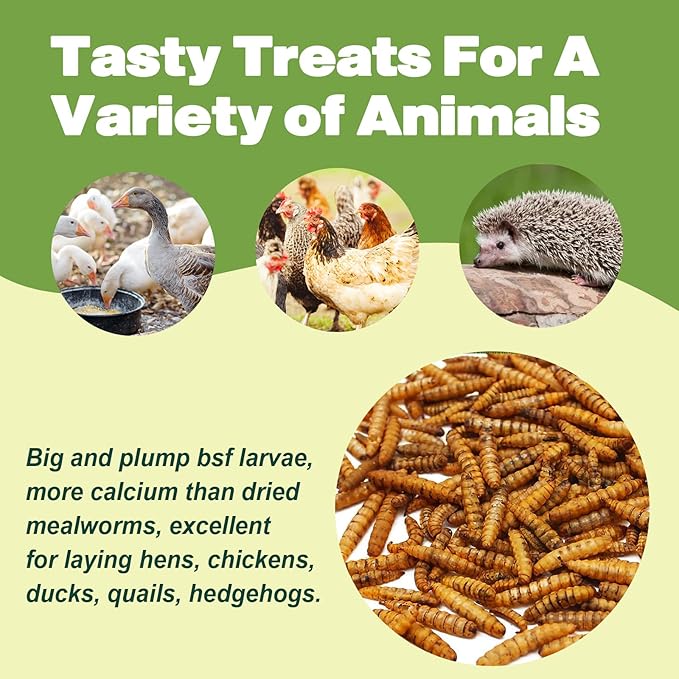 22LB Dried Black Soldier Fly Larvae, 2 Pack of 11 LBS, 86X Calcium Than Dried Mealworms, High Protein Non-GMO Organic Chicken Feed