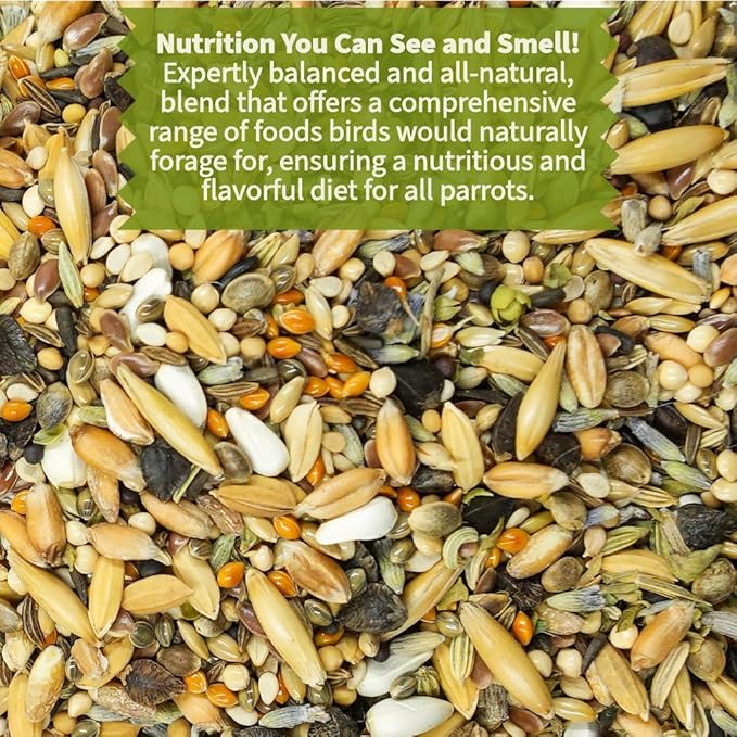 Premium Parrot Food| Protein-Rich Low-Fat Formula | Cockatiel, Conure, Lovebird, Quaker, Parrotlet | No Corn, Soy, Peanuts | Gourmet Whole Grains & Seeds | Daily Maintenance Blend (3 lbs)