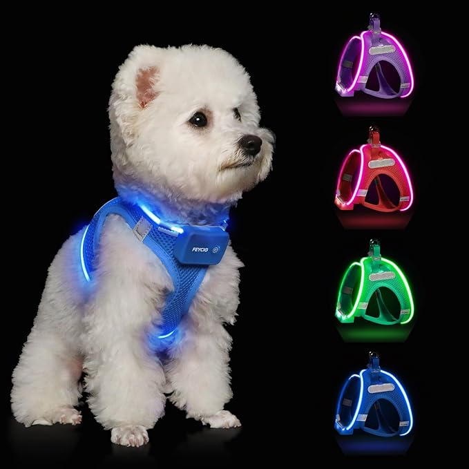 Light Up Dog Harness,Rechargeable LED Dog Harness for Small Medium Large Dogs,Reflective Lighted Safety Vest for Night Walking & Camping,Lightweight & Adjustable,Sky Blue,S