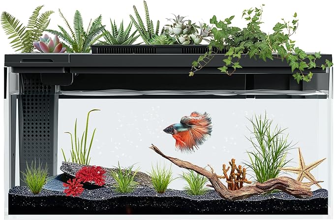 3.7 Gallon Betta Fish Tank self Cleaning,Smart Aquarium Aquarium kit with Filter Light Water Pump