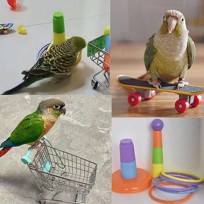 6pcs Interactive Puzzle Toy Set for Small Parrots - Training, Stress Relief, Include Coin Box, Bell Ball, Skateboard & Ferrule Toy for Bird Budgies, Cockatiels, Parakeet etc