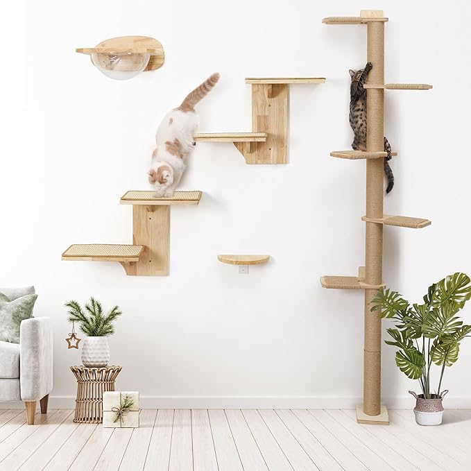 FUKUMARU Cat Wall Shelves, 2 Platform Kitten Wall Furniture, Tree Shape Wall-Mounted Floating Shelf with Sisal Mat, Solid Rubber Wood Cats Perch for 16 Inch Drywall, Suitable for Climb, Play, Nap