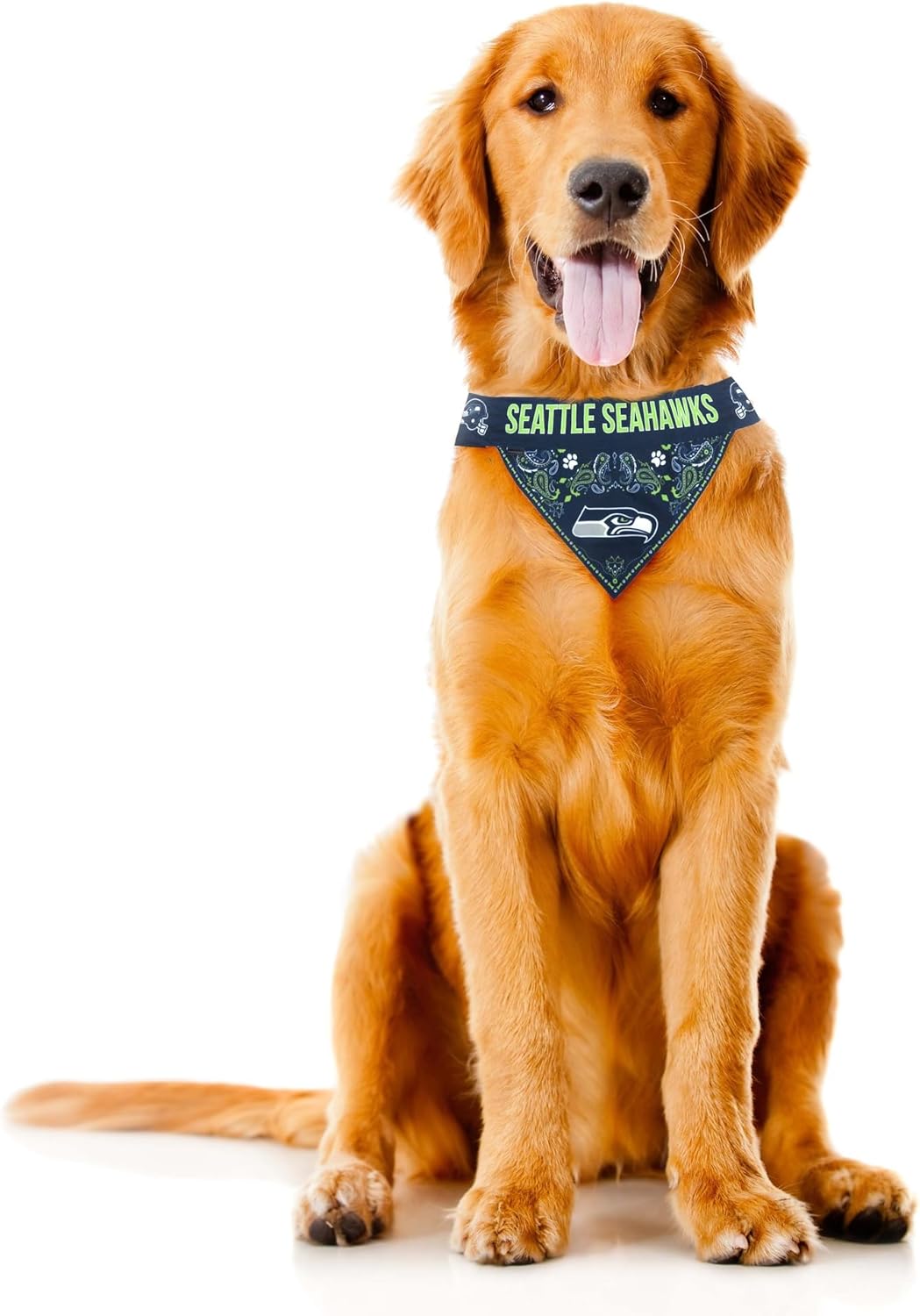 Littlearth NFL Pet Bandana - Reversible