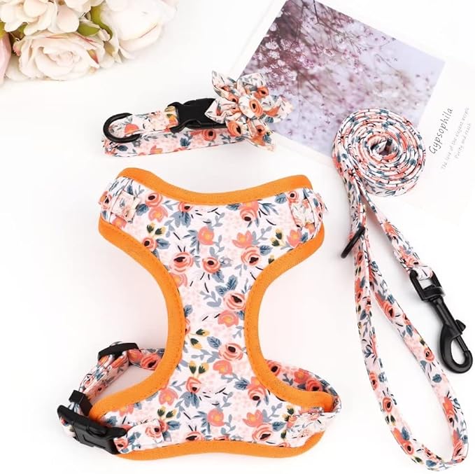 Beirui Cute Girl Dog Collars, Harnesses & Leashes Set - Adjustable Dog Collar and Leash Set with Flower - Soft Mesh Dog Vest Harness for Puppies Small & Extra Small Dogs Cats (Orange,XXS)