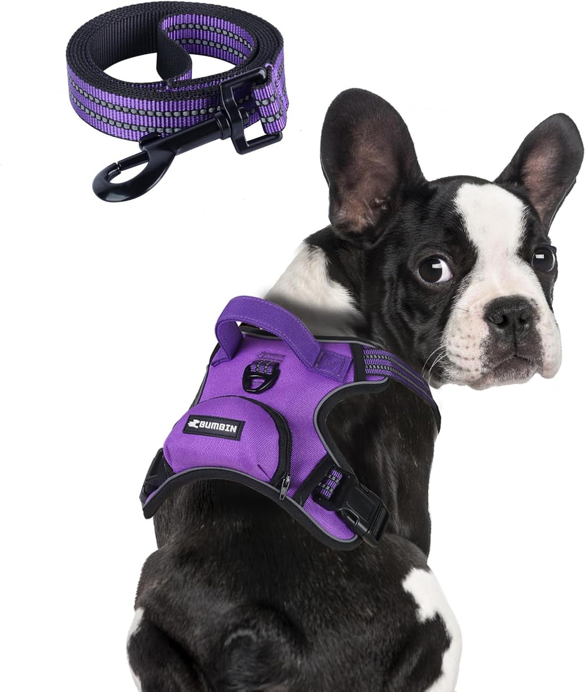 BUMBIN Dog Harness for Large Dogs, No Pull Adjustable No Choke Pet Vest with Dog Leash Fit Smart Reflective Pet Walking Harness for Training Easy Control Soft Handle Purple S