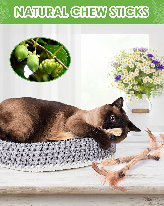 TINDTOP Silvervine Sticks for Cats with Natural Feather, Catnip Chew Toys for Kittens Teeth Cleaning, Increase Appetite, Calm Cat Anxiety and Stress, Cat Dental Toy (3 Pack)