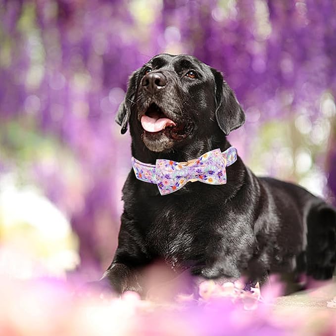 Elegant little tail Dog Collar, Rose Print Pet Collar Summer Dog Collar Durable Metal Buckle Dog Collars Cotton Pet Adjustable Dog Collars for Medium Dogs