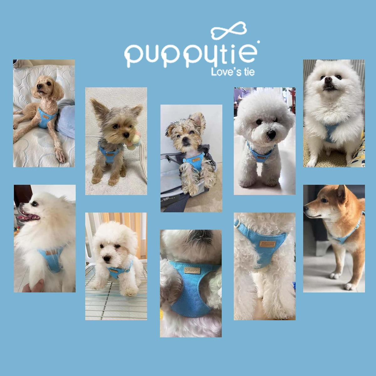 Puppytie No Pull Small Dog Harness with Multifunction Dog Leash,Lightweight Soft Adjustable No Choke Escape Proof Pet Harness Vest Pet Harness Vest,Ocean Blue,S