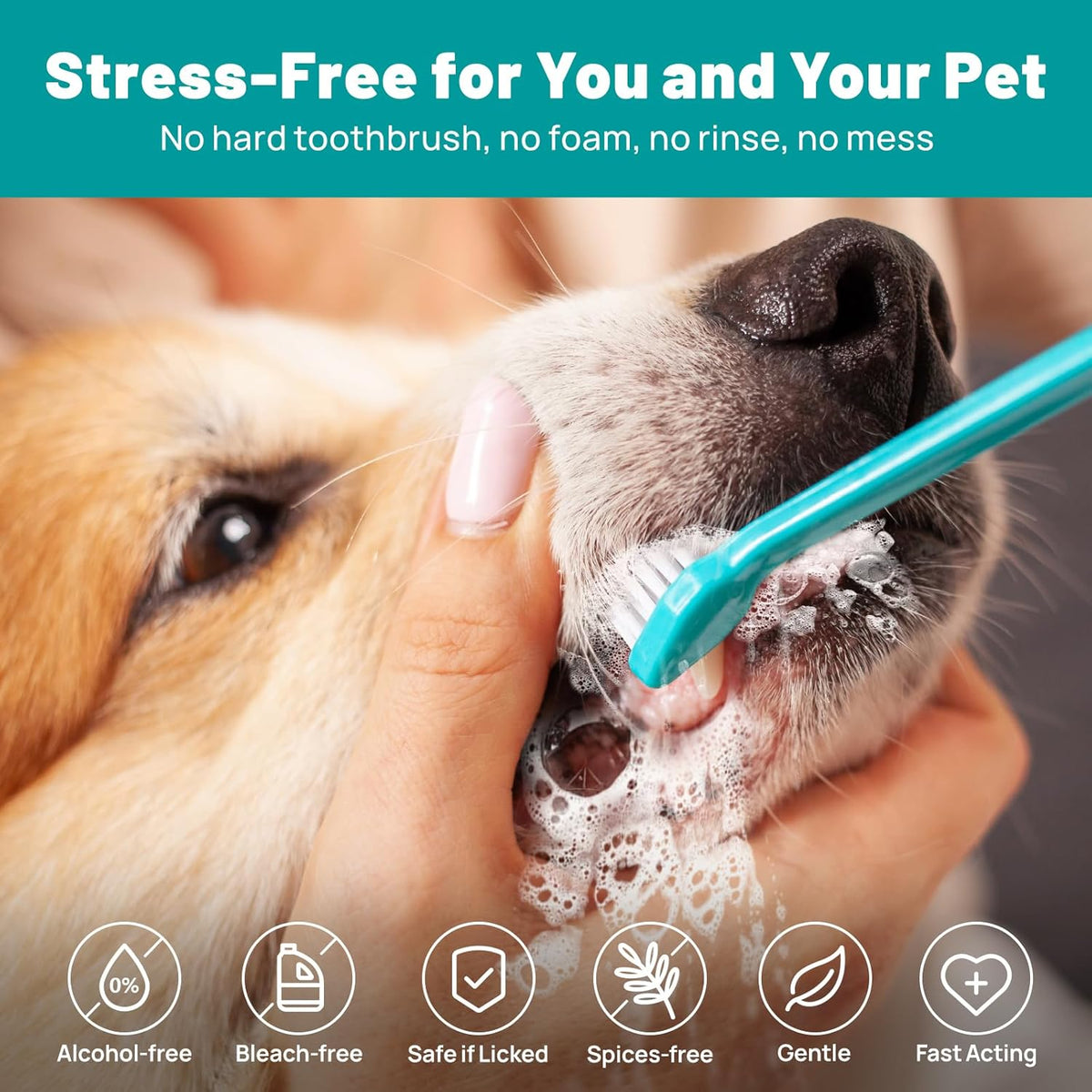 Dog Dental Care Wipes - Cat & Dog Teeth Cleaning Finger Wipes - Tooth Brushing Kit Dental Wipes - Reduces Plaque & Freshens Breath, Honey Scent