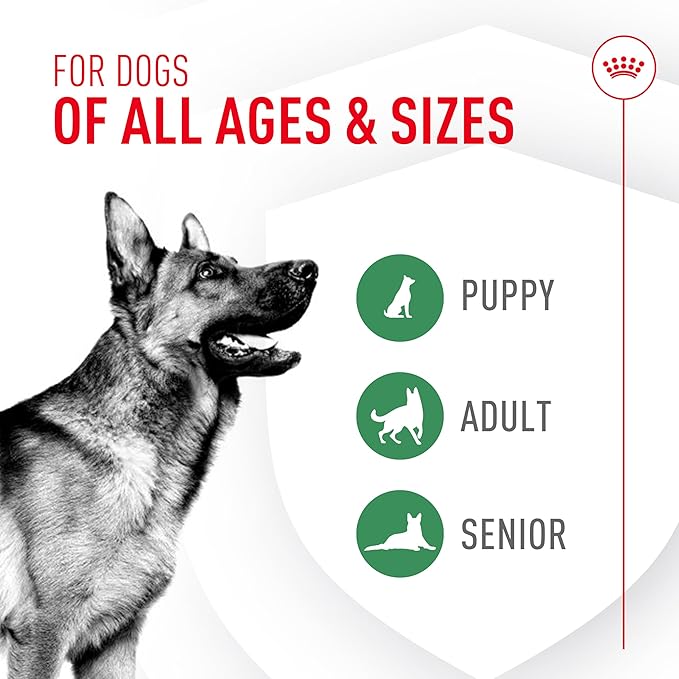 Royal Canin Probiotics for Dogs Digestive and Immune Health Powder Supplement for Dogs of All Ages, 7 Count