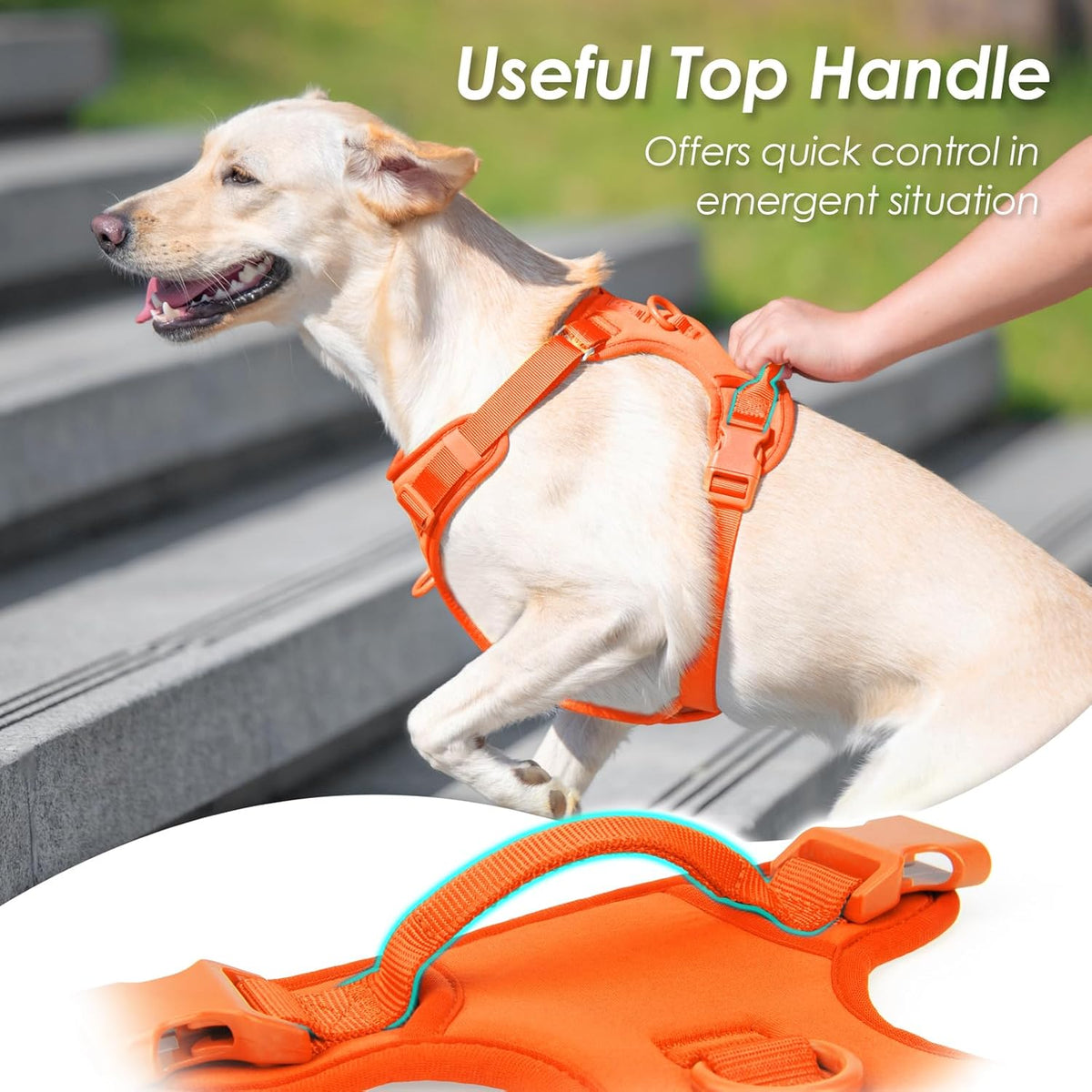 No Pull Dog Harness, Puppy Vest with Front Clip for Small Medium Large Sized Dog(Orange,XL)