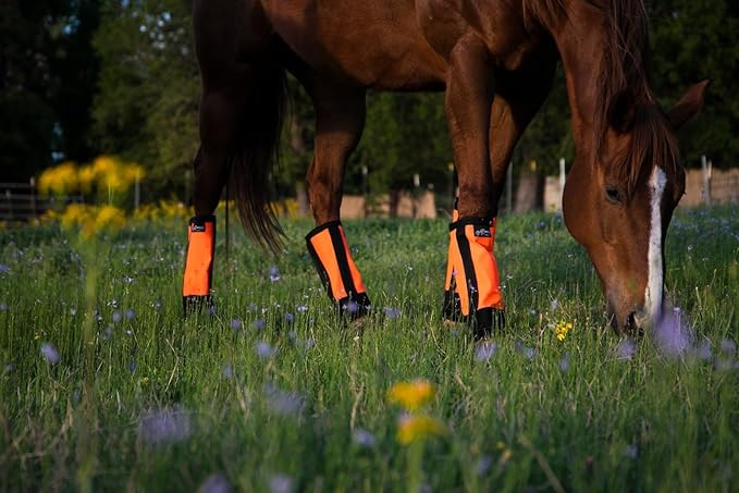 Warrior Fly Boots for Horses - Breathable Mesh Horse Boots for Fly Protection & Leg Comfort - Set of 4 (Knight Warrior, Neon Pink)