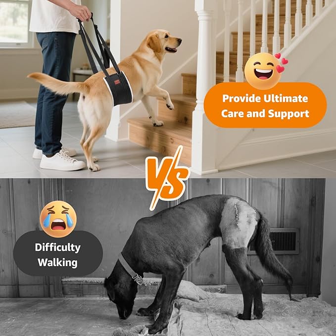 LOOBANI Portable Dog Sling for Back Legs, Hip Support Harness to Help Lift Dogs Rear for Canine Aid and Old K9 Cruciate Ligament Rehabilitation