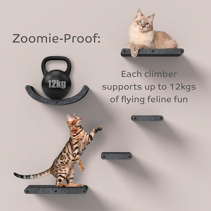 Wall Mounted Cat Steps Short Shelves (2) by Pryde Pets - Stairs for Walkways, 100% Sustainable PET Felt Feline Enrichment Climber Furniture for Indoor Cats, Modern Climbing Gym Design (Charcoal)
