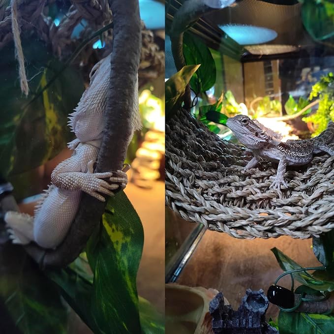 5 PCS Tank Accessories for Bearded Dragon Include Resin Classical Castle Reptile Climb Habitat Decor Hanging Jungle Vines Flexible Leaves Climbing Decor for Lizard Gecko Chameleon Spider