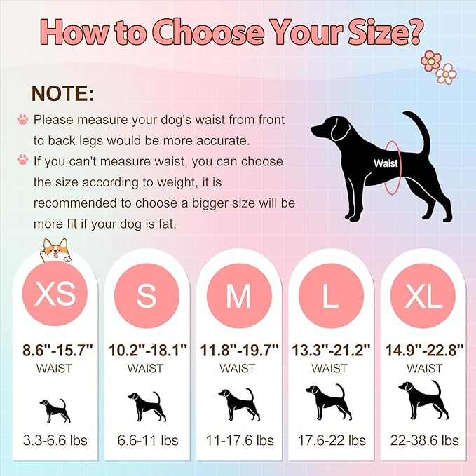 Ambreview Disposable Dog Diapers Female, Just Pull It Up, Doggie Diapers for Female Dogs, Strong Absorbency | Leak Proof, for Dogs in Heat | Elderly | Disabled, S 10 PCS