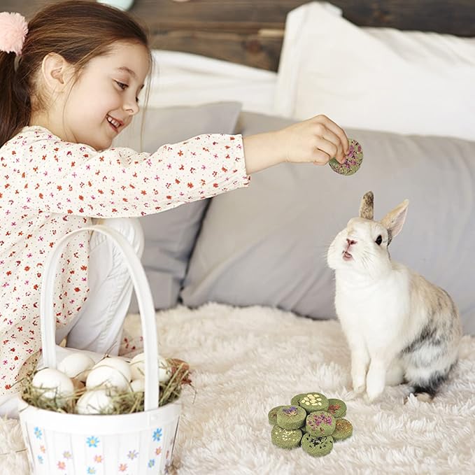 ERKOON Treats Rabbit Toys, 100% Edible Premium Timothy Hay Chew A Blocks for Rabbits, Chinchilla Treats, Chew Toys for Teeth Guinea Pigs and Mice