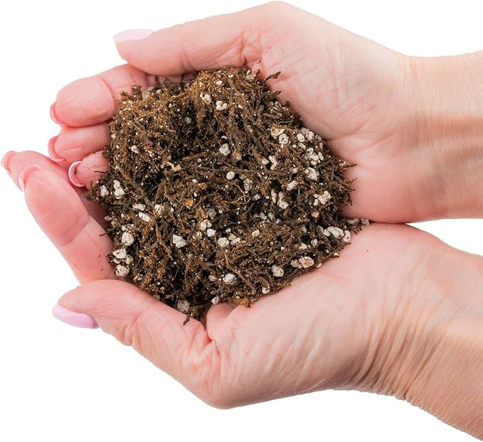 Gardenera Fern + Perlite Soil Mix - 10 Quart - for Repotting and Planting Succulents and Cactuses (4 Bags of 5 Quart)