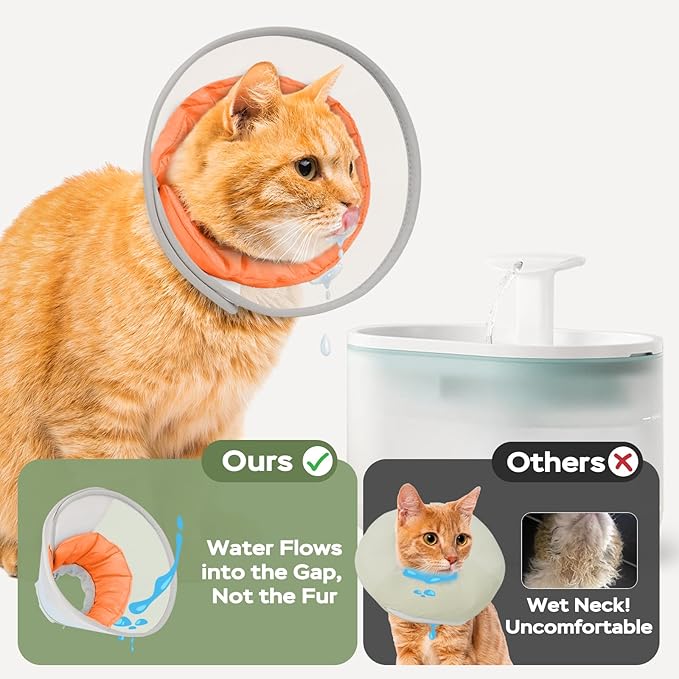 Cat Cone Collar Soft: Comfortable Waterproof Mesh Recovery Cone After Surgery to Stop Licking and Scratch, Alternative to Plastic Elizabeth Head/Neck Cone for Large Cats and Small Dogs