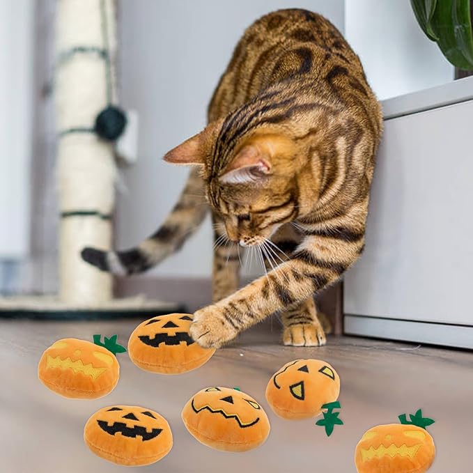 6pcs Halloween Pumpkin Catnip Toy，Hallowen Indoor Pumpkin Shaped Cat Toy Plush Interactive Chew Bite Toys for Cat Kitten Indoor Festive Holiday Cat Lover Gift