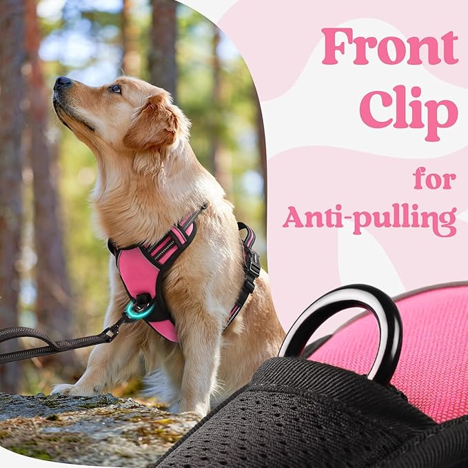 rabbitgoo Dog Harness Small Sized, No Pull Pet Harness with 3 Buckles, Adjustable Soft Padded Vest with Control Handle, Walking Reflective Pet Vest for Small Dogs, Rose Pink, S