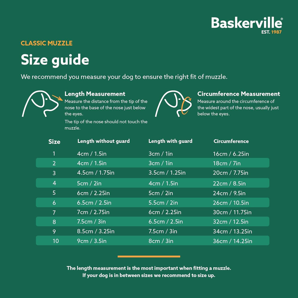 Baskerville Classic Basket Muzzle - Dog can Pant and Drink, Prevents Biting and Food Waste Scavenging, Strong TPR, Ideal for Longer Nosed Dogs, Breathable Dog Training Muzzle for Large Dogs (Size 10)
