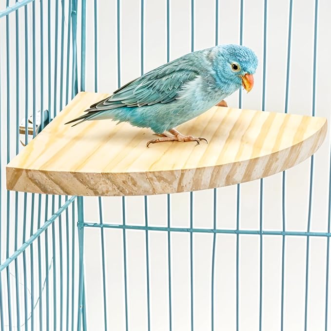 Bird Perch Platform Stand Wooden Parrot Perch Corner 5.9 Inches Fan Shape Playground Cage Accessories Parrot Stand Flat Perches for Bird Cages Corner Shelf for Birds Parrots Hamster Gerbil