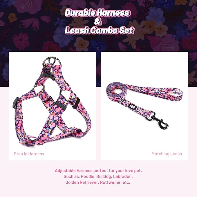 QQPETS Dog Harness Leash Set Adjustable Heavy Duty No Pull Halter Harnesses for Small Medium Large Breed Dogs Back Clip Anti-Twist Perfect for Walking