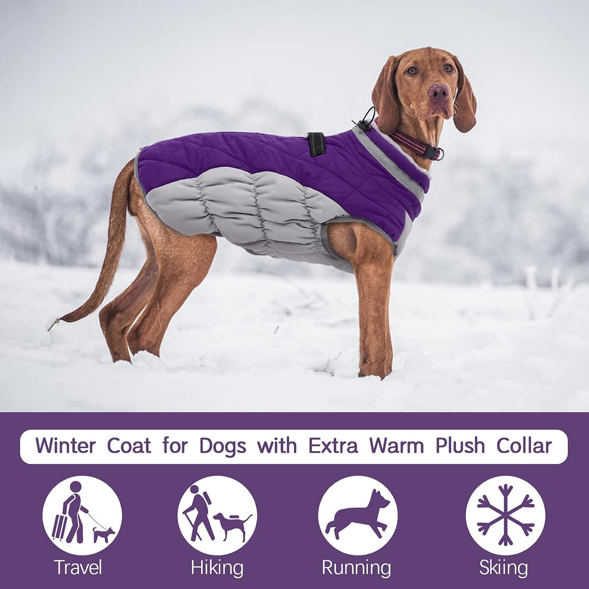 FUAMEY Dog Coat for Large Dogs,Waterproof Dog Winter Jacket with Harness Built in Puppy Cold Weather Coats Reflective Pet Vest with Zipper Warm Fleece Dogs Snowsuit Windproof Purple XL