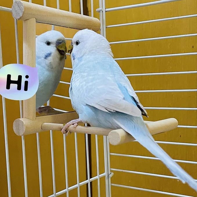 Bird Mirror Parakeet Mirror Perch Stand Wooden Swing Mirror Toy Cage Accessories for Parrots Budgies Parakeets Cockatiels Lovebirds Finches