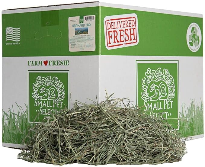 Small Pet Select Orchard Grass Hay Pet Food, 20 Lb.