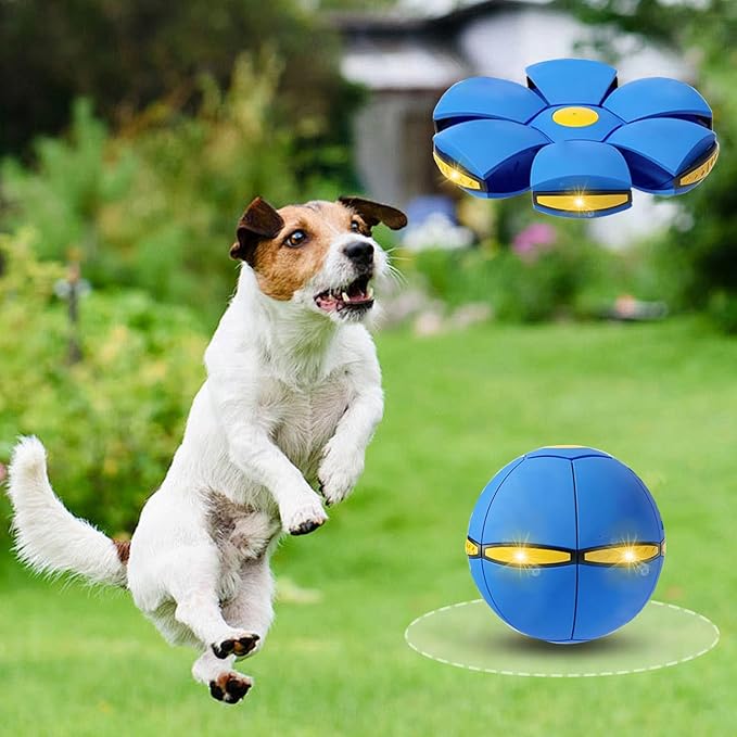 2PCS Dog Flying Disc Toy, Pet Toy Flying Saucer Ball with 3 Light for Dogs, Dog Toy Outdoor Toy Doggy Disc Ball, Outdoor Games