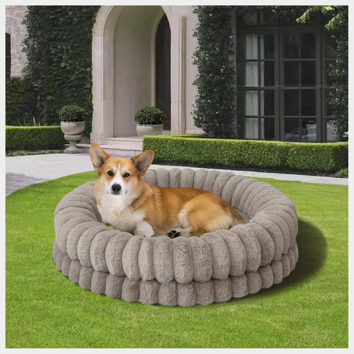 BALANCE Luxury Donut Dog Bed, 30 Inches Round Dog Bed Medium Size Dogs Washable, Orthopedic Calming Dogs Bed for Pets with Anti-Slip Bottom, Oatmeal