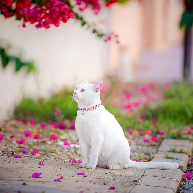 SCENEREAL Breakaway Cat Collar with Bells, Safety Buckle Soft Adjustable Cats Collars for Spring Summer Daily Wearing, Kitten Puppy Pink Personalised Collars for Dogs Girl Boy
