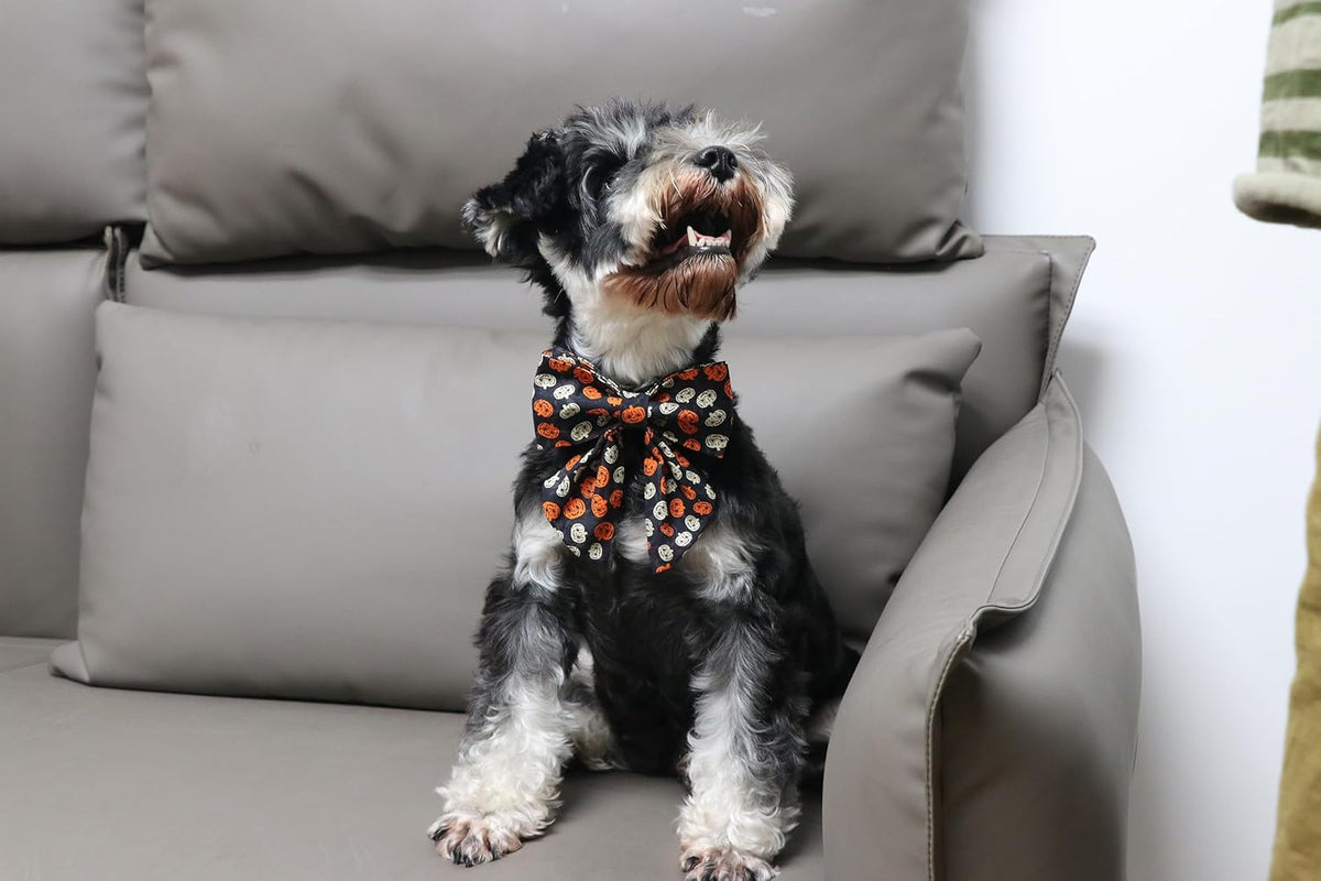 Lionet Paws Halloween Dog Collar with Bowtie - Cute Cotton Adjustable Black Bowtie Dog Collar with Metal Buckle for Small Medium Large Dog Girl Boy Gift, XS, Neck 8-12in