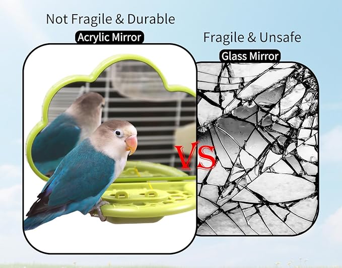 Bird Mirror with Perch & Slow Feeder – Interactive Bird Toy, Birds Cage Accessories for Parakeet, Budgies, Cockatiels, Conures, Lovebird, Finches & Canary – Relieve Boredom-Green