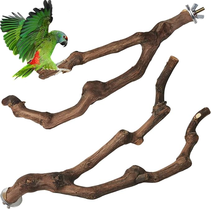 PINVNBY Natural Parrot Perch Bird Stand Pole Wild Grape Stick Paw Grinding Fork Parakeet Climbing Standing Branches Toy Chewable Cage Accessories for Small Lovebirds Budgies Cockatiels 2PCS