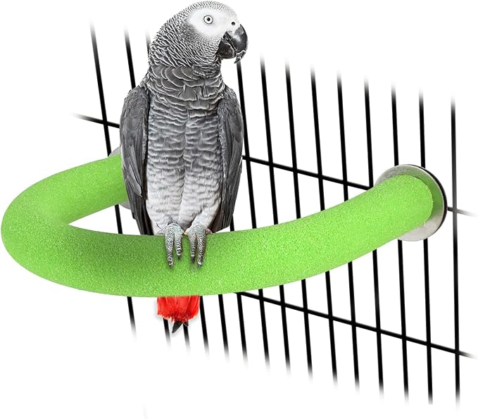 Rypet U Shape Parrot Perch Stand Toy for Paw Grinding Clean Stick Exercise, Rough-Surfaced Quartz Bird Perch Standing Cage Accessories for for Small Parakeets Cockatiels Conures Macaws Finches(Green)