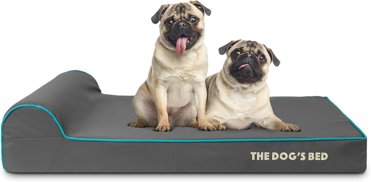 The Dog’s Bed Orthopedic Headrest Dog Bed Large Grey with Blue Trim, Memory Foam, Pain Relief for Arthritis, Hip & Elbow Dysplasia, Post Surgery, Veterinary Approved, Waterproof Washable Cover