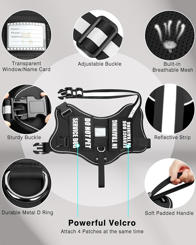 Service Dog Vest Harness and Leash Set+10 Patches for Puppy Small Dogs,Do Not Pet Emotional Support Dog Vest with 2 Soft Padded Handle for Everyday/Training (Black XS)