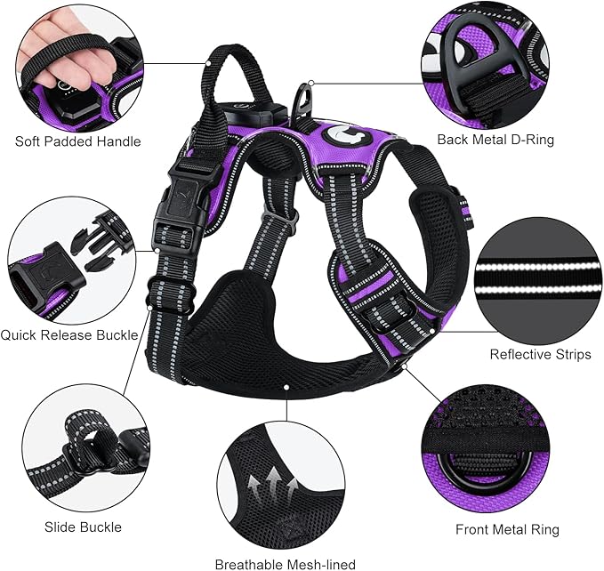 Taglory Light Up Dog Harness, Rechargeable No Pull Dog Vest with 3 Lightning Modes, Reflective Dog Harness with 2 Leash Clips & 4 Adjustable Slide Strips for Small Dogs, Purple-Orange, S