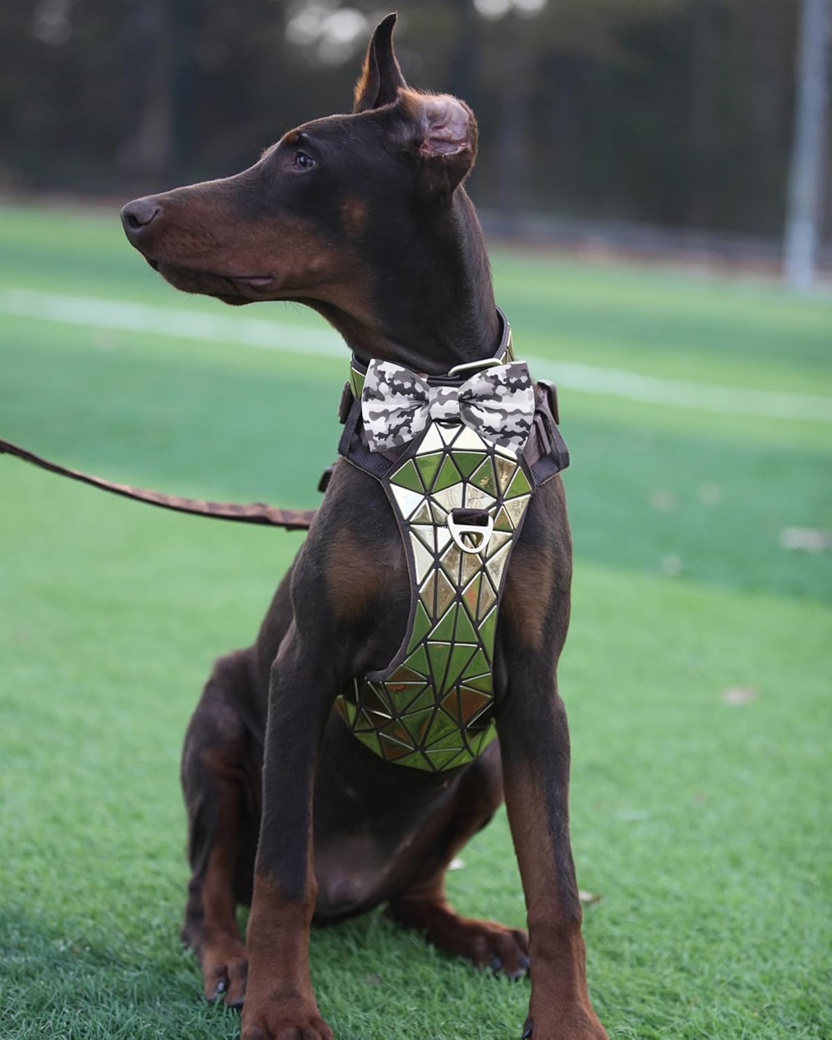 PET SHOW 10 Pack Camo Big Dog Bow Ties for Large Medium Dogs Sliding Collar Attachments Colorful Camouflage Bowties Classic Bowknots Party Holiday Pet Grooming Accessories(Large)