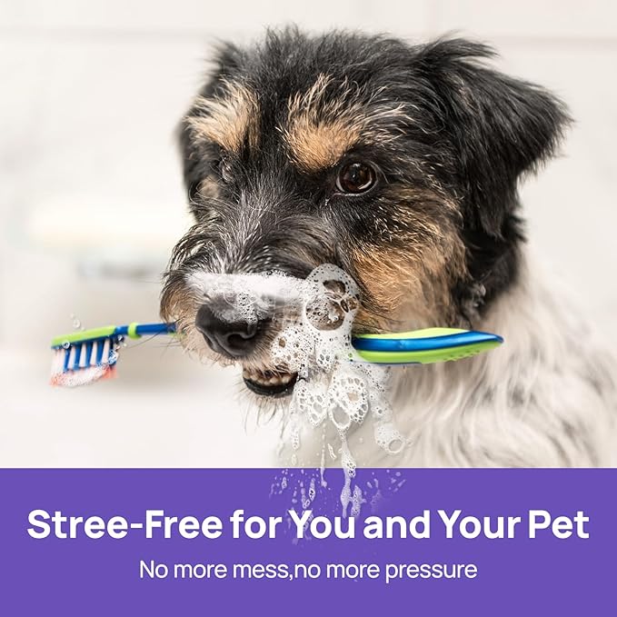 HICC PET Dog Dental Care Spray, Vet-Recommended Dog Breath Freshener, Soothing Bad Breath Caused by Plaque and Red Gums for Dogs & Cats, Dog Gingivitis Treatment and Prevent Oral Infections, 5.1 Fl Oz